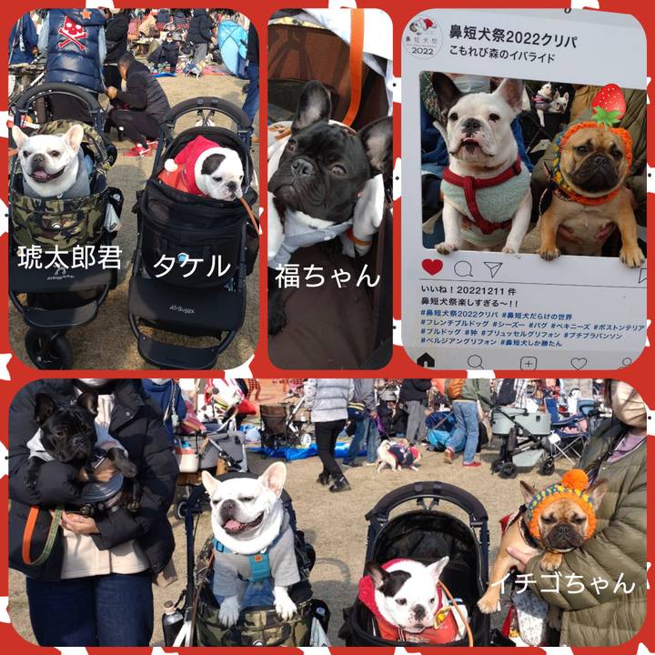 4dcf9eb6 d76e 4767 bfc8 fb47cef71e90 1670900084750