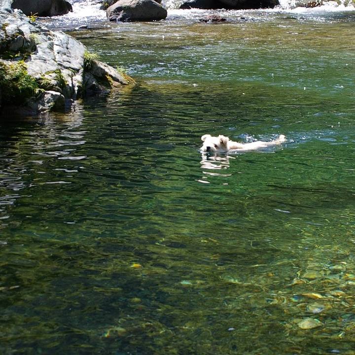 4dd018f9 3053 4cf9 8135 730ca2f08340 1533372261755