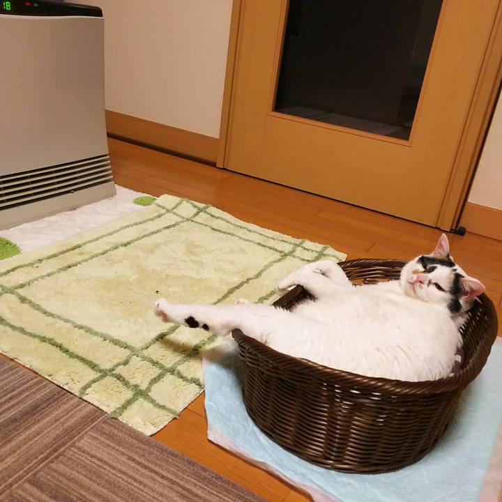 4dd01ff1 628b 4fdd b59b e75e59be1512 1542630207734