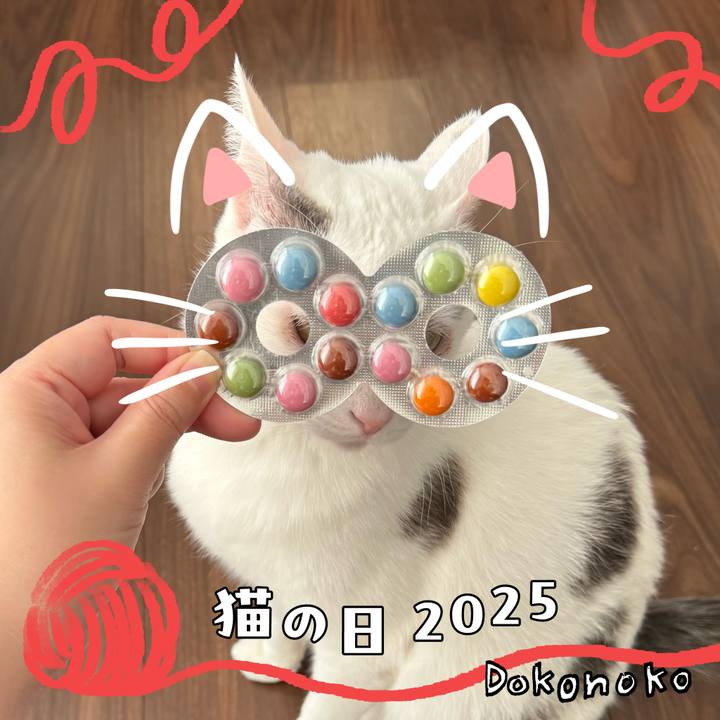 4dd04677 41a1 4f39 b4c5 0c9e05199d94 1740225072515