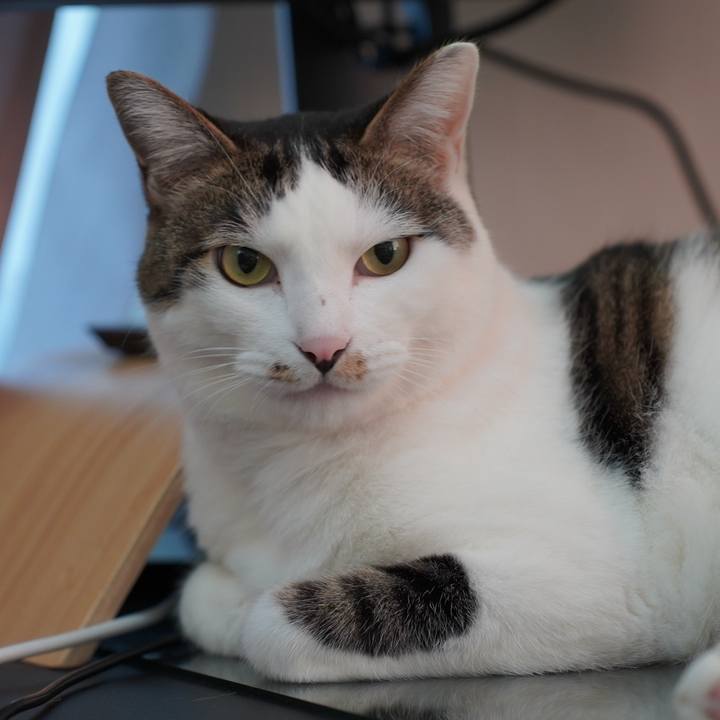 4dd068e3 4433 45f7 bbe3 5eaa272c89e7 1698845205734