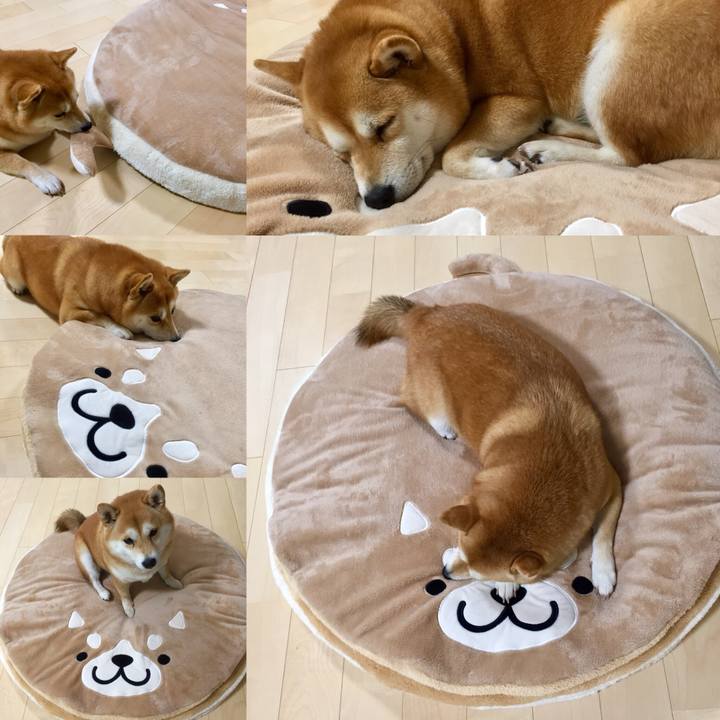 4dd0b731 b629 4919 819d d53b02d96567 1509882960829