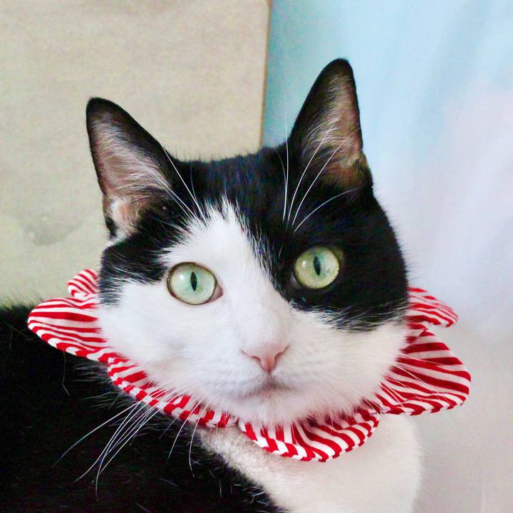 4dd12174 9679 41ac 87fc 170bf68344a5 1630544471594