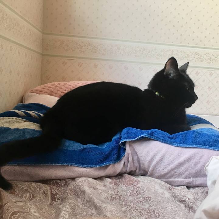 4dd1d49d 5048 4345 9126 c22316d16846 1531365345507