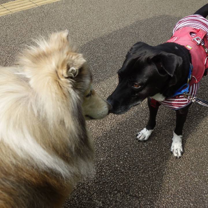 4dd1daa8 1de9 42ef a260 22c63d4f732b 1687649840613