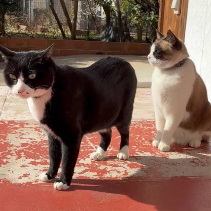 4dd228eb 8bd1 4ade 8996 e76d9d9ea2fc 1770606341492