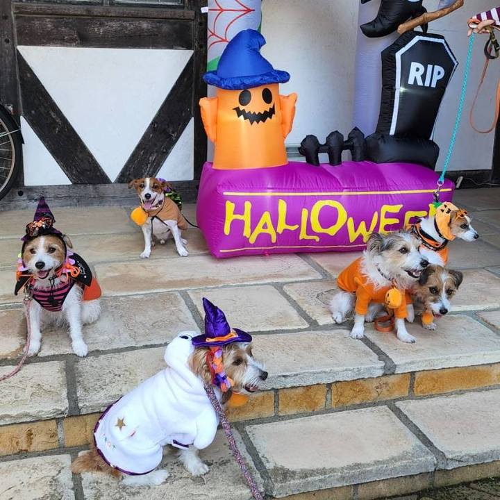 4dd23c2f 5ebc 4770 a2cc 367f20ccaa7c 1665912589724