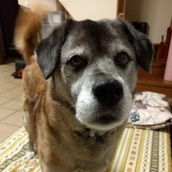 4dd254f6 4355 477b ad71 19e4c4cdeae1 1552733044670