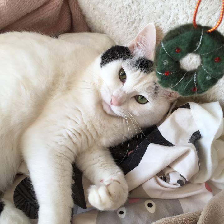 4dd26806 0d24 4ba8 aa9c 8f779d320513 1577274901245