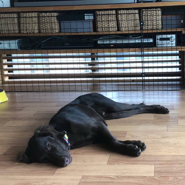 4dd28717 f63a 4739 9b4b 9a9cf8a61f4e 1562456820097