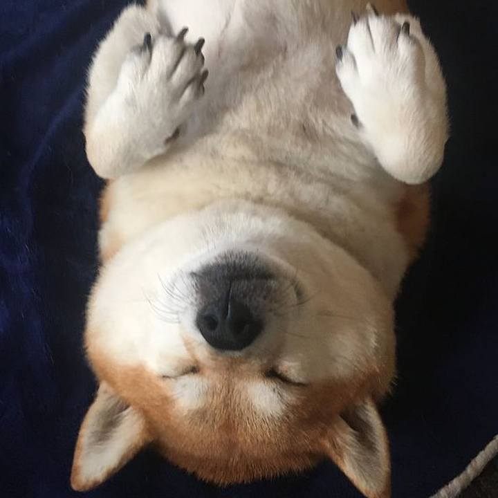 4dd291b6 1ad5 45ae b00d 6476439967a2 1647447936818