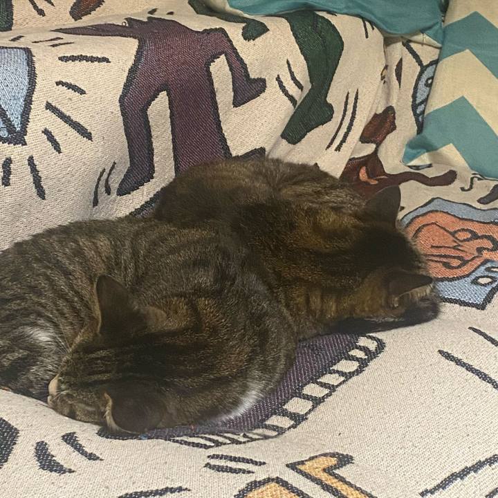 4dd295e8 6586 48a7 a47b 831ef3cfd1f1 1730490034402