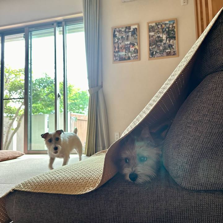 4dd295fb 2a06 499a 8a9e bfe5f1e97fa8 1728882694368