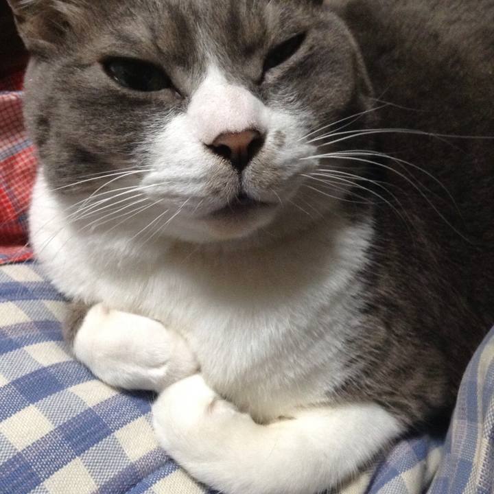 4dd2d15d d659 4403 9ba9 4ac7084bca2b 1518097727212