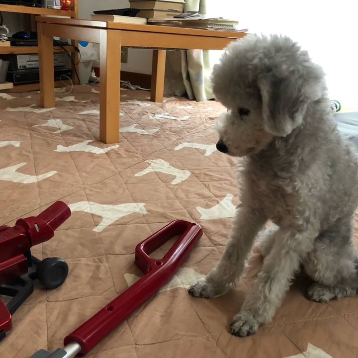 4dd38357 092a 45ad 92e8 0f8389af39f8 1571287543126