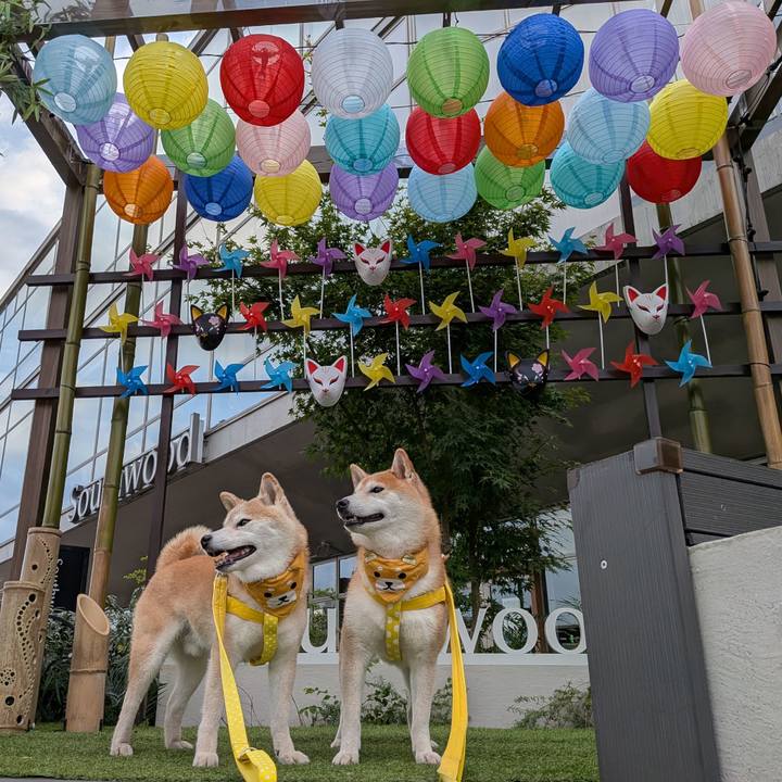 4dd38802 ba35 4388 9bc6 513c077f3080 1754721825562