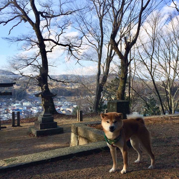 4dd38f5d 7930 4104 991b 645c27c4a118 1516692114241