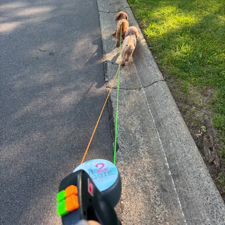 4dd3b898 6f5a 4c16 9f1f 1ae72257df4d 1751651156286