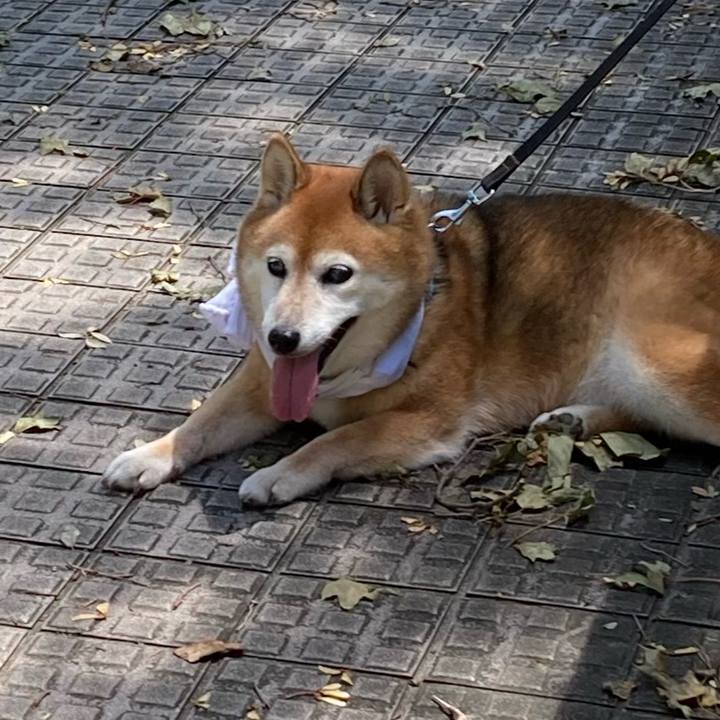 4dd44357 ea9c 41b8 80a1 73f6a7b0bbbd 1721970010252