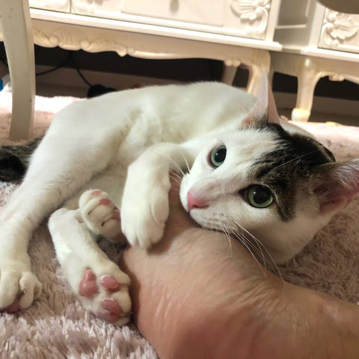 4dd469a4 5b46 41db 8c67 37189c6ddd77 1574233517886