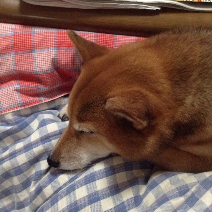 4dd47937 d28f 482a b009 b4c40345d75e 1510357176343