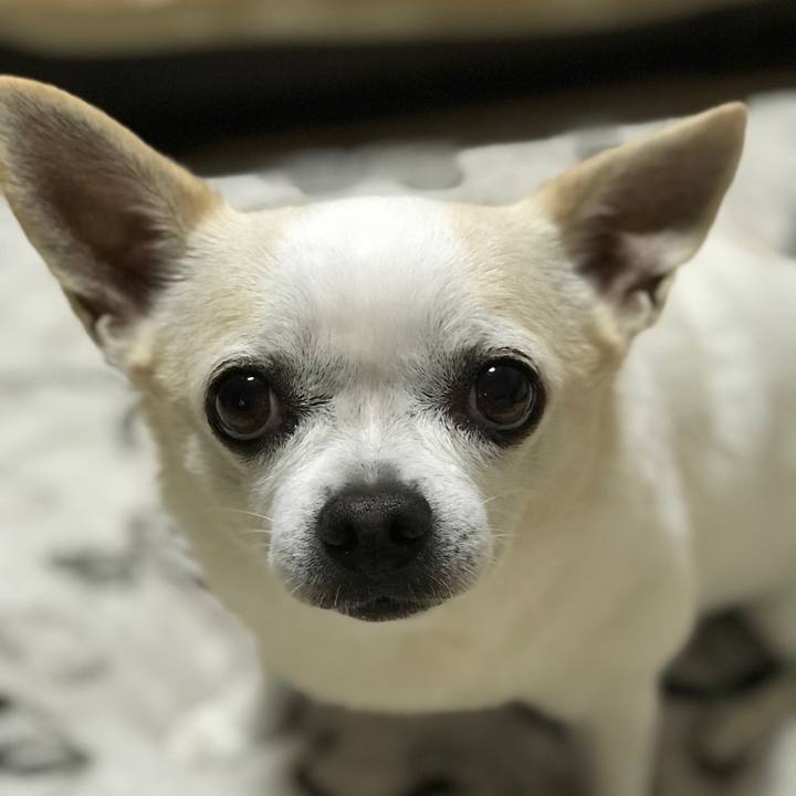 4dd485a3 77bf 4c94 9b1d b49e04b005f7 1511347411834