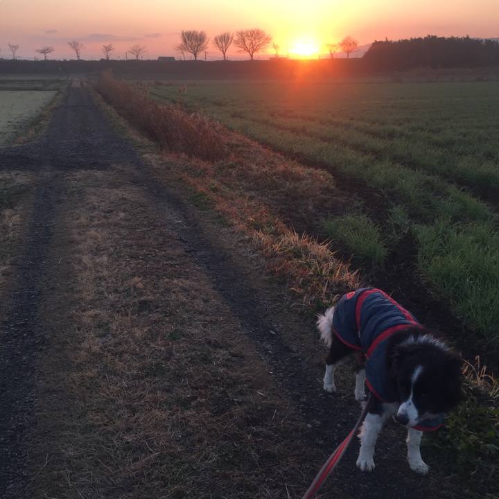 4dd4b54a f2bf 4523 96b7 554d7e19ba2d 1579302546149