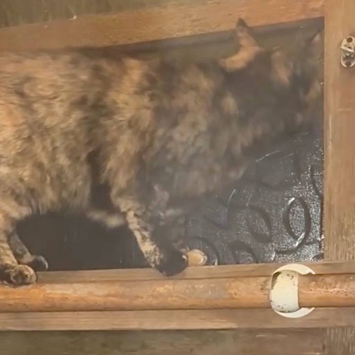 4dd50c03 95f7 47b4 a046 8d8f2a6df451 1770064490931