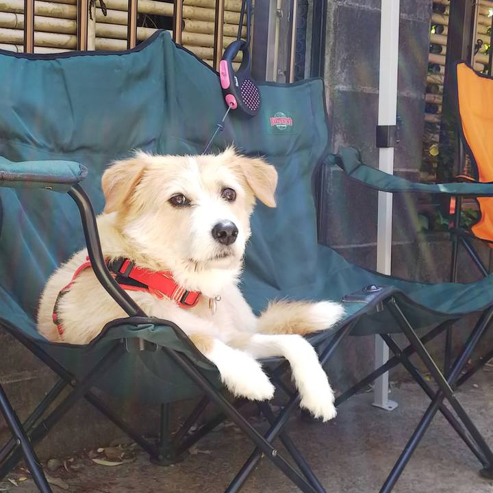 4dd5196b 7350 4f2f 96bc 94e1c7349e48 1524893610930