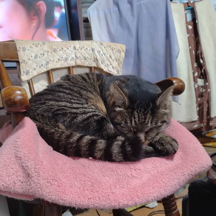 4dd53d67 49f1 4967 b54b ed70517a1936 1706230534081