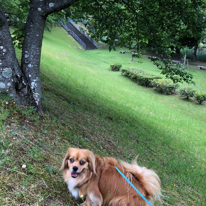 4dd55d54 f427 4047 887c 1e82bf07d804 1559684492659