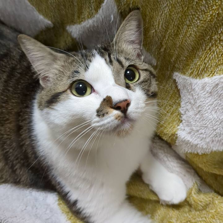 4dd570c2 1ea1 426c b766 1ee3bdb07d7c 1673614835432