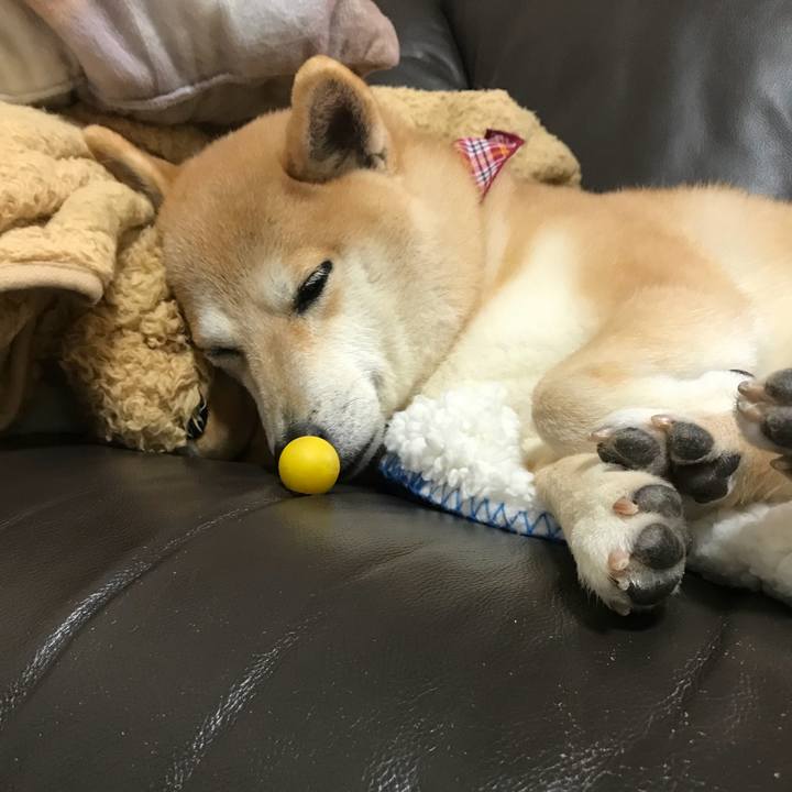 4dd5cabb 0a05 4c5d a7b3 46c21224d323 1520213094717