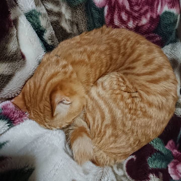 4dd5d9f0 99db 4802 9c81 b9f05636846a 1644325110778