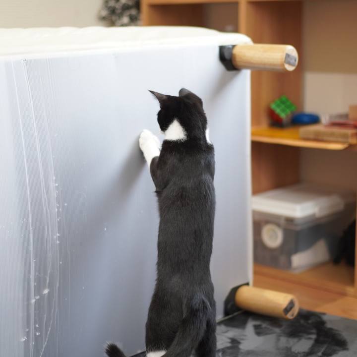 4dd613bc aa07 4ffb b286 e3030f417568 1576934446998