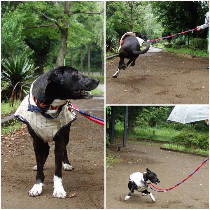 4dd62e63 e1bb 4cca 99ee 1727bd02dbcc 1590970177799