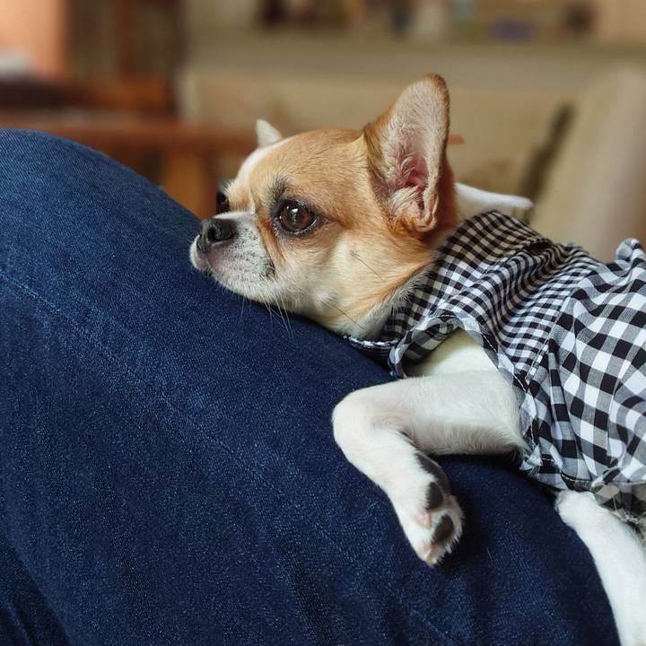 4dd62f62 9862 4a57 a028 9d92270686d4 1627100117853