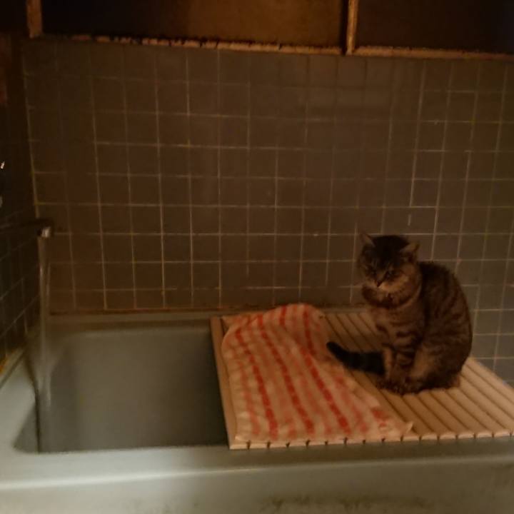 4dd63a7d b481 492b a4a4 1b5602bbcefc 1579338593622