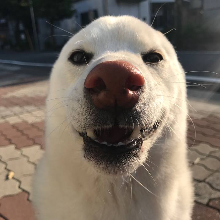 4dd67438 fb4f 4f0d 982b 06e3e8600c8d 1511912681460