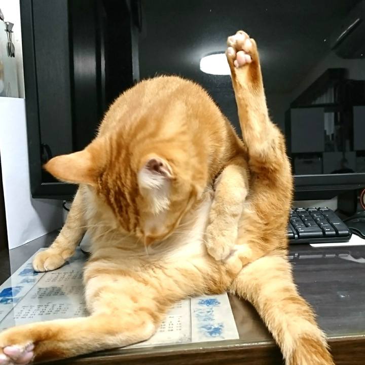 4dd68eca 377b 40aa a9c7 f7a69d13e02a 1548112444381