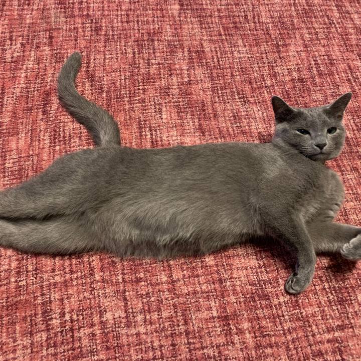 4dd69668 0b6a 4c3b be4a 93a61c529abc 1579247825776