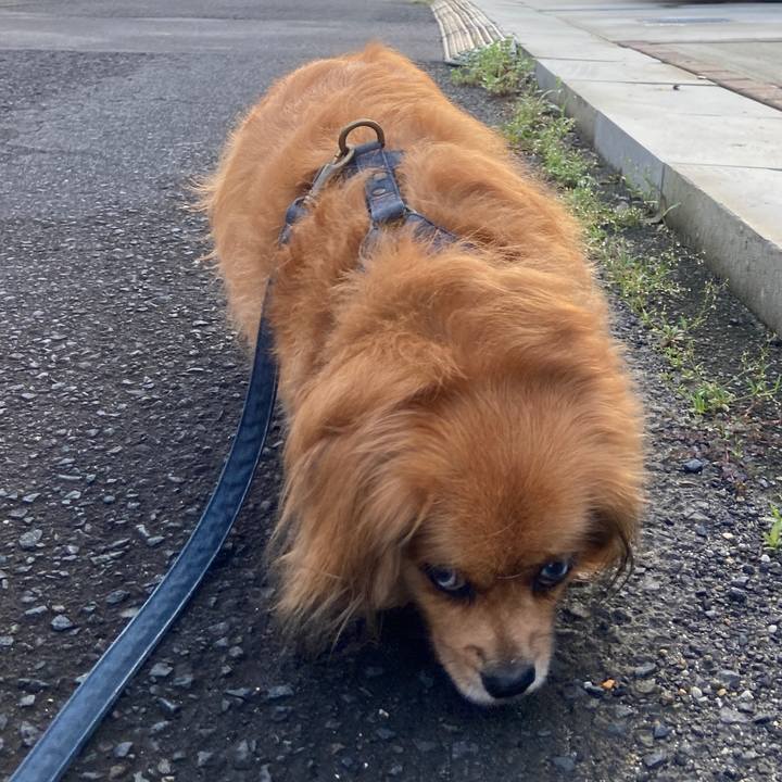 4dd6ae25 993d 4285 a10f d206bc76ce13 1630878373378