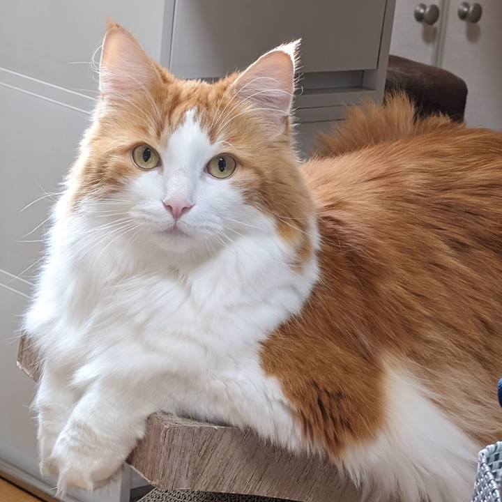 4dd6f31c 4494 41b6 8338 d0b0ec85e0a1 1701576506949