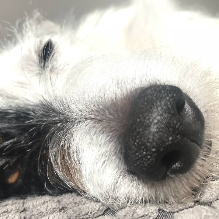 4dd73984 ed7b 4555 aa78 cb679a03a925 1523516235029