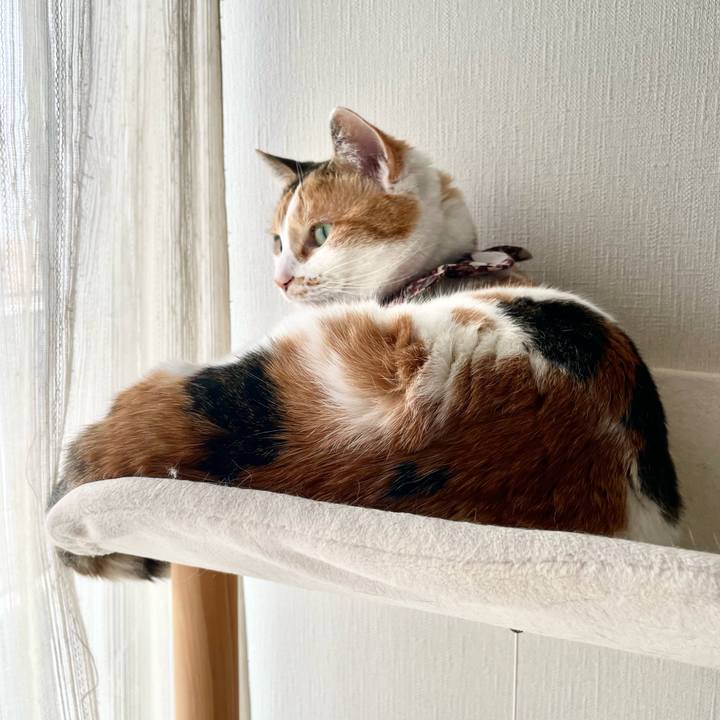 4dd75291 7c14 4702 8c50 b2142b546ae8 1742859227649