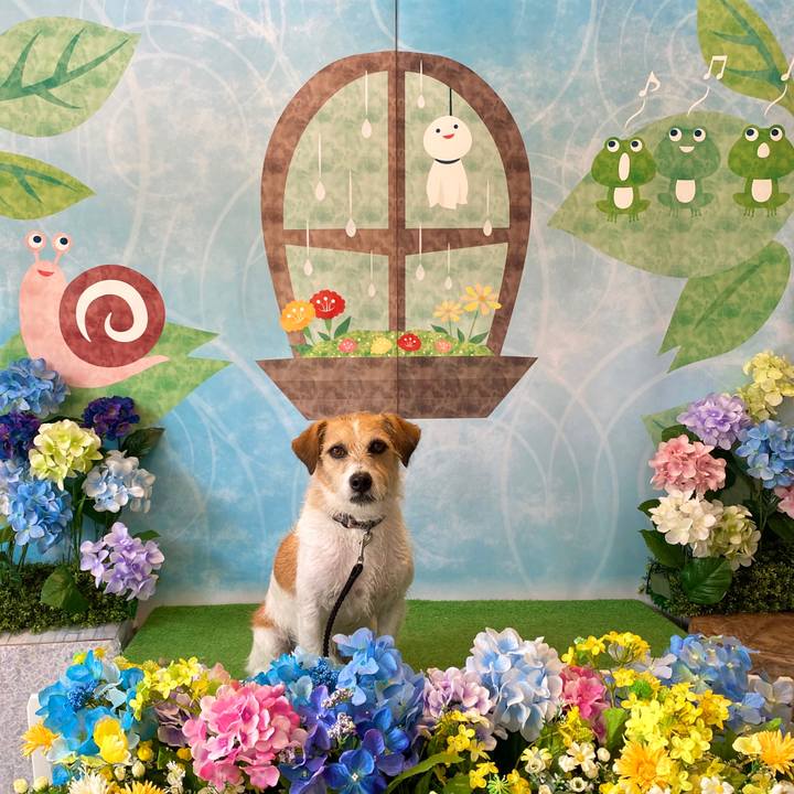 4dd79e0a bc1a 4e1b 9407 7c681eefb4af 1593698177768