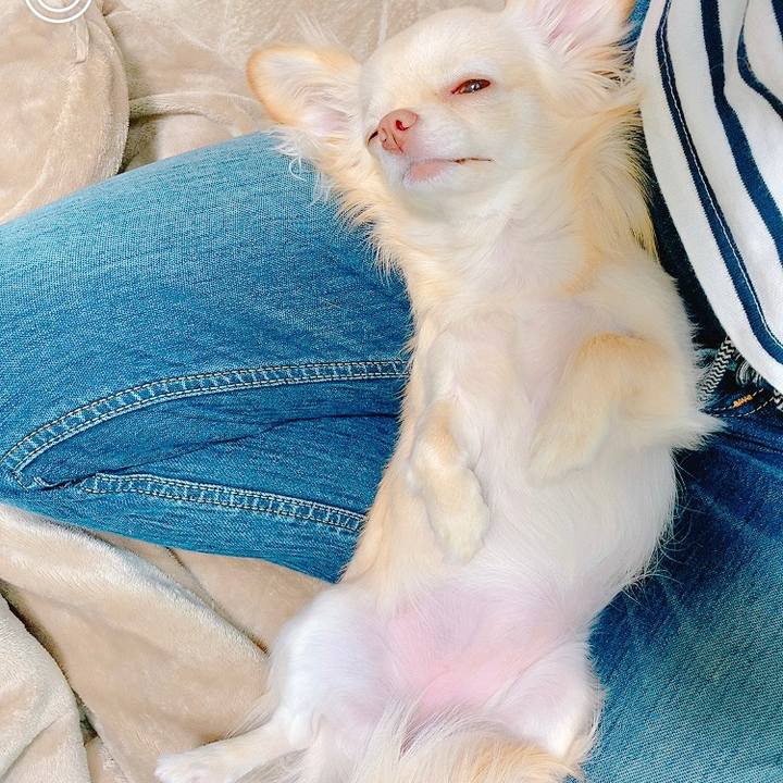 4dd80308 9306 4ab0 93f3 6b39f3222d52 1620708164829