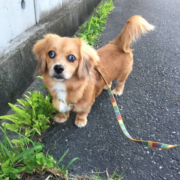 4dd8171d 2d9b 4a2f 956d ea111b77c009 1662334260919