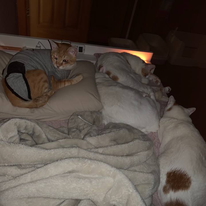 4dd83717 a291 4f23 8b7e f1bda09d3a4a 1642710346876