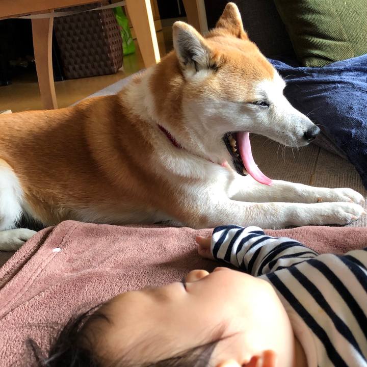 4dd84c8e 2d3a 432d baa2 866289f5b7dc 1553163841668